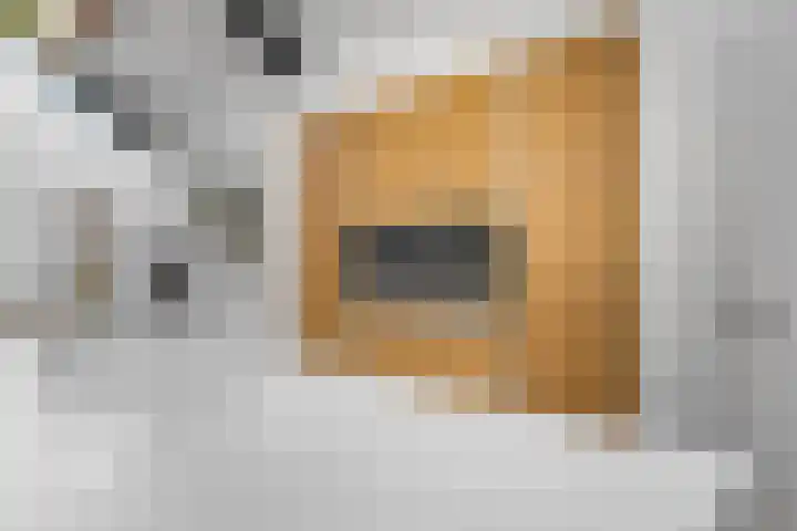 Julianalaan 5 Tiel thumbnail 19