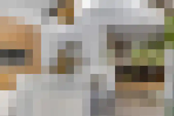 Julianalaan 5 Tiel thumbnail 21