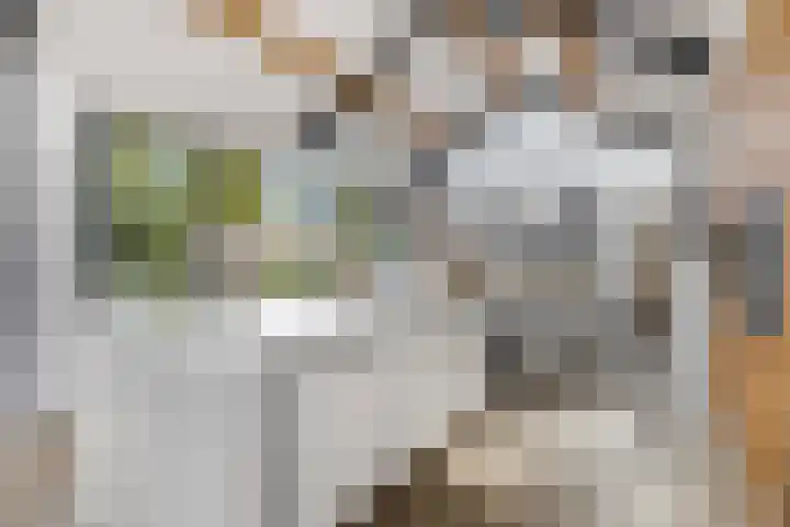 Julianalaan 5 Tiel thumbnail 22
