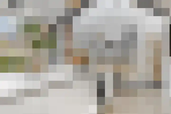 Julianalaan 5 Tiel thumbnail 24