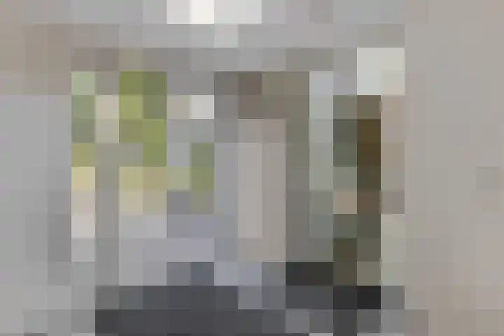 Julianalaan 5 Tiel thumbnail 25