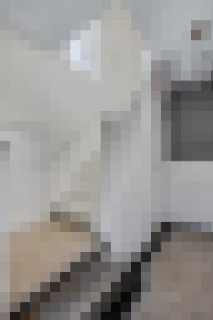 Julianalaan 5 Tiel thumbnail 28