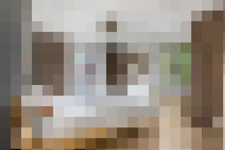 Julianalaan 5 Tiel thumbnail 29