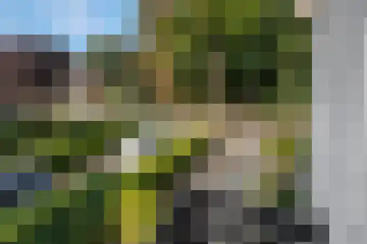 Julianalaan 5 Tiel thumbnail 30