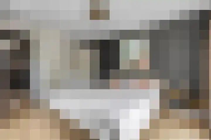 Julianalaan 5 Tiel thumbnail 31