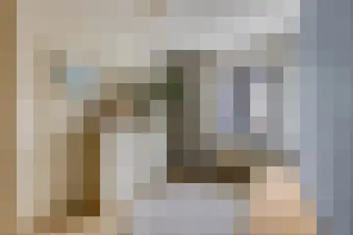 Julianalaan 5 Tiel thumbnail 32