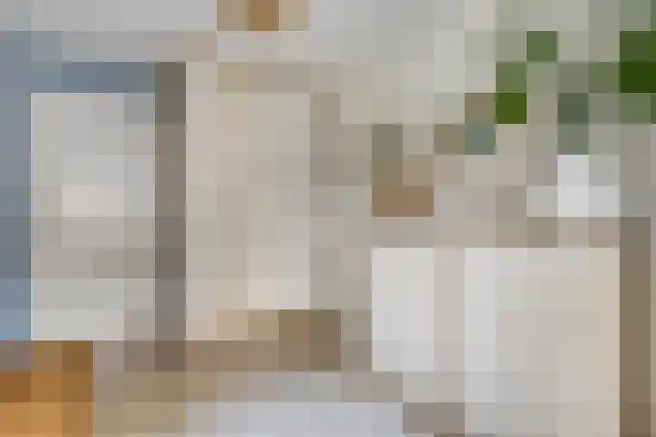 Julianalaan 5 Tiel thumbnail 33