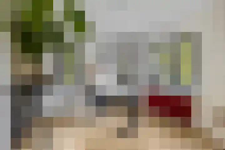 Julianalaan 5 Tiel thumbnail 34