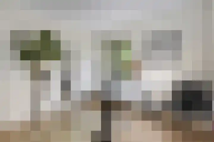 Julianalaan 5 Tiel thumbnail 35