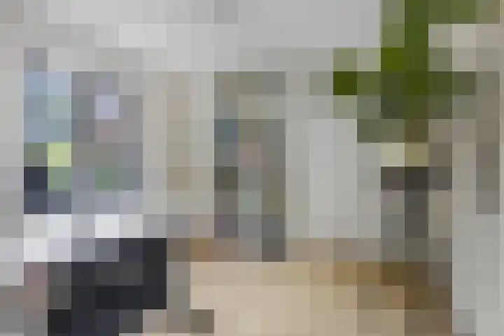 Julianalaan 5 Tiel thumbnail 36