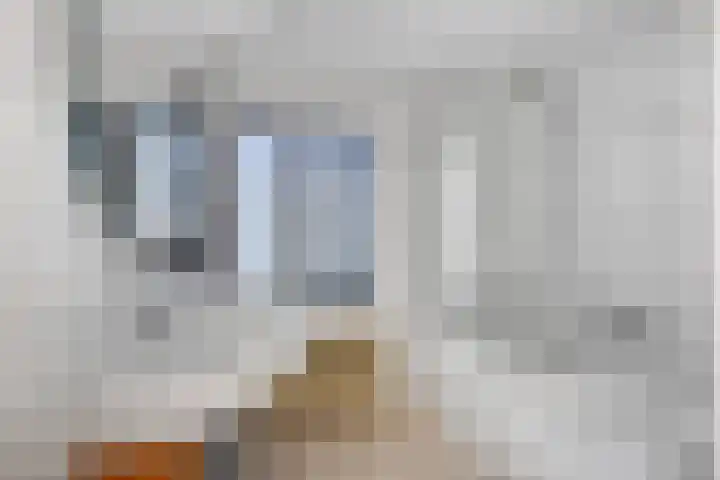 Julianalaan 5 Tiel thumbnail 37