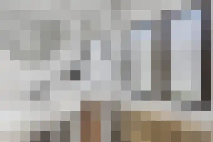 Julianalaan 5 Tiel thumbnail 38
