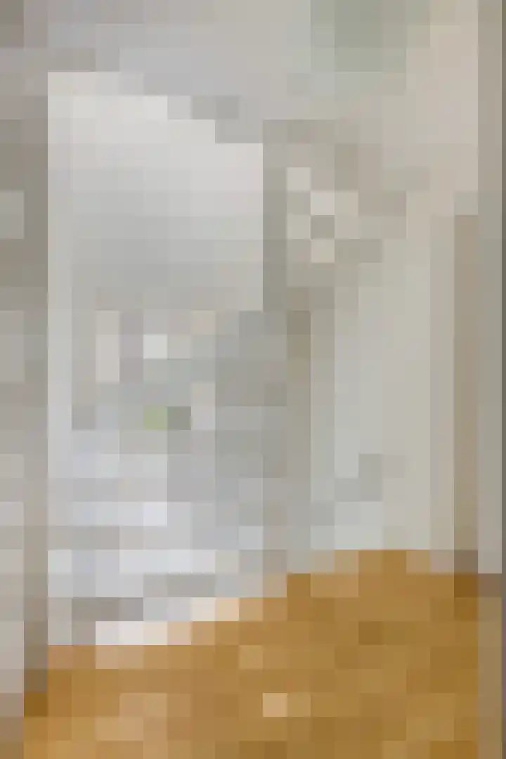 Julianalaan 5 Tiel thumbnail 39