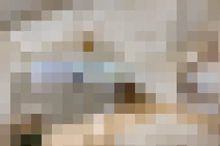 Julianalaan 5 Tiel thumbnail 40