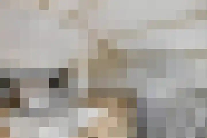 Julianalaan 5 Tiel thumbnail 41