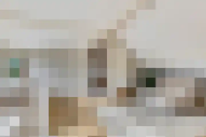 Julianalaan 5 Tiel thumbnail 42