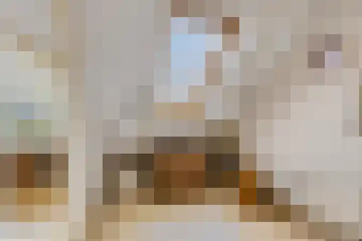 Julianalaan 5 Tiel thumbnail 43