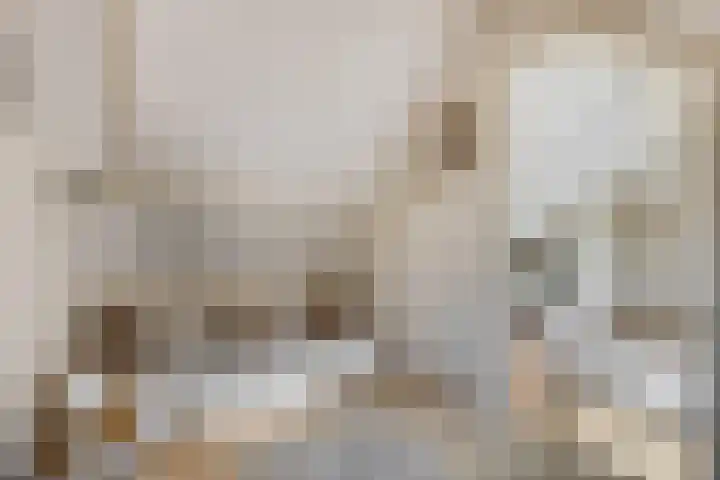 Julianalaan 5 Tiel thumbnail 44