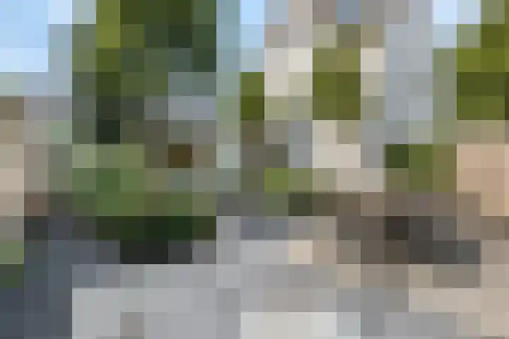 Julianalaan 5 Tiel thumbnail 45