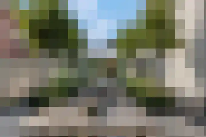 Julianalaan 5 Tiel thumbnail 46