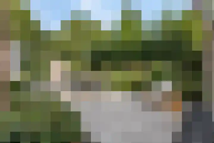 Julianalaan 5 Tiel thumbnail 48
