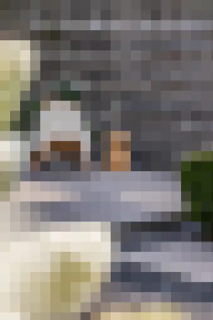 Julianalaan 5 Tiel thumbnail 49
