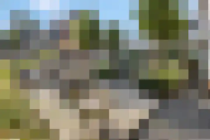 Julianalaan 5 Tiel thumbnail 50