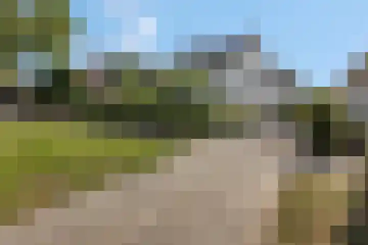 Julianalaan 5 Tiel thumbnail 52