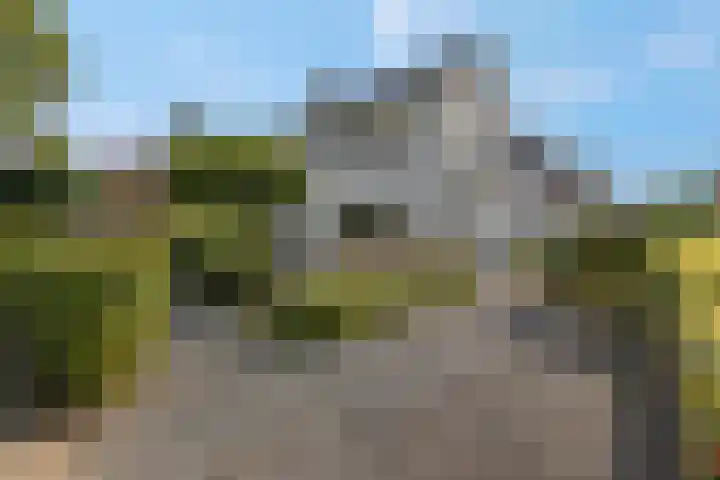 Julianalaan 5 Tiel thumbnail 53