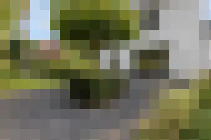 Julianalaan 5 Tiel thumbnail 57