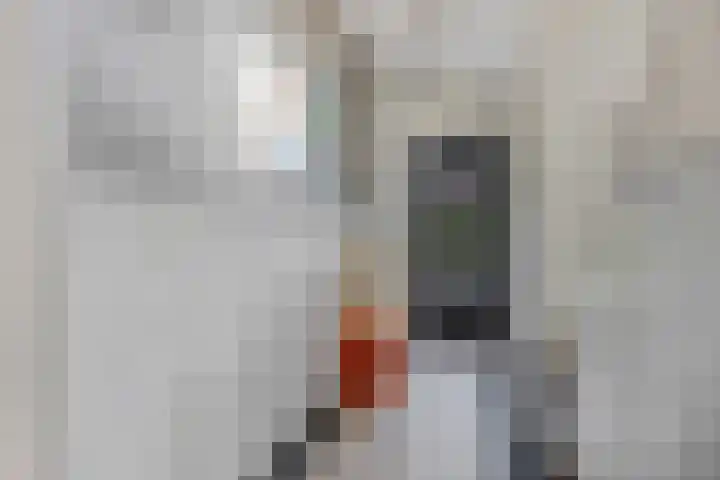 Julianalaan 5 Tiel thumbnail 6