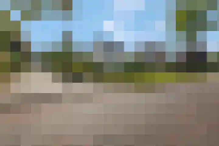 Julianalaan 5 Tiel thumbnail 60