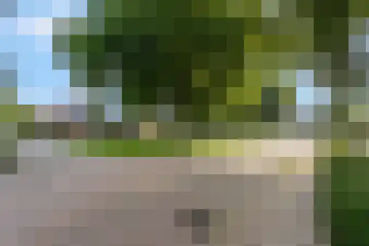 Julianalaan 5 Tiel thumbnail 61
