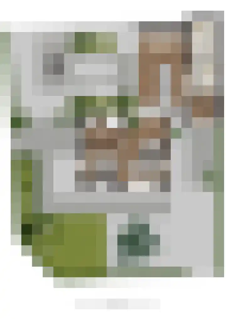 Julianalaan 5 Tiel thumbnail 65