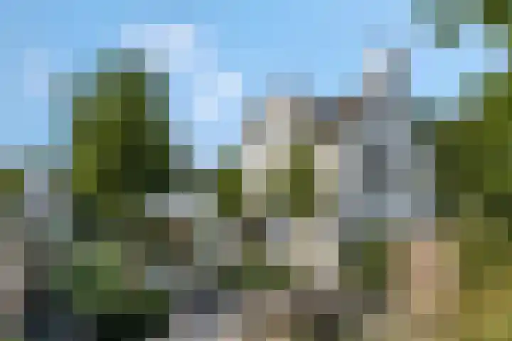 Julianalaan 5 Tiel thumbnail 66