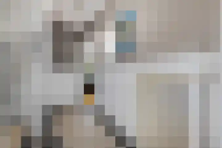 Julianalaan 5 Tiel thumbnail 8