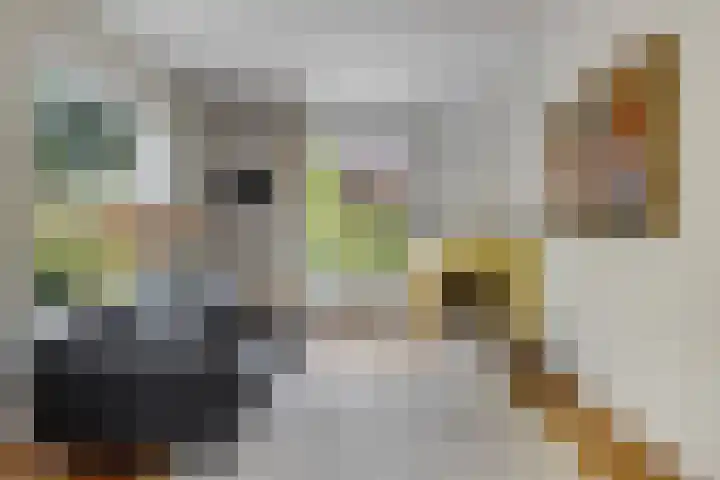 Julianalaan 5 Tiel thumbnail 9