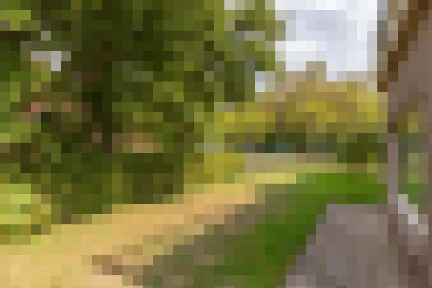 Julianalaan 5 Vlissingen thumbnail 10