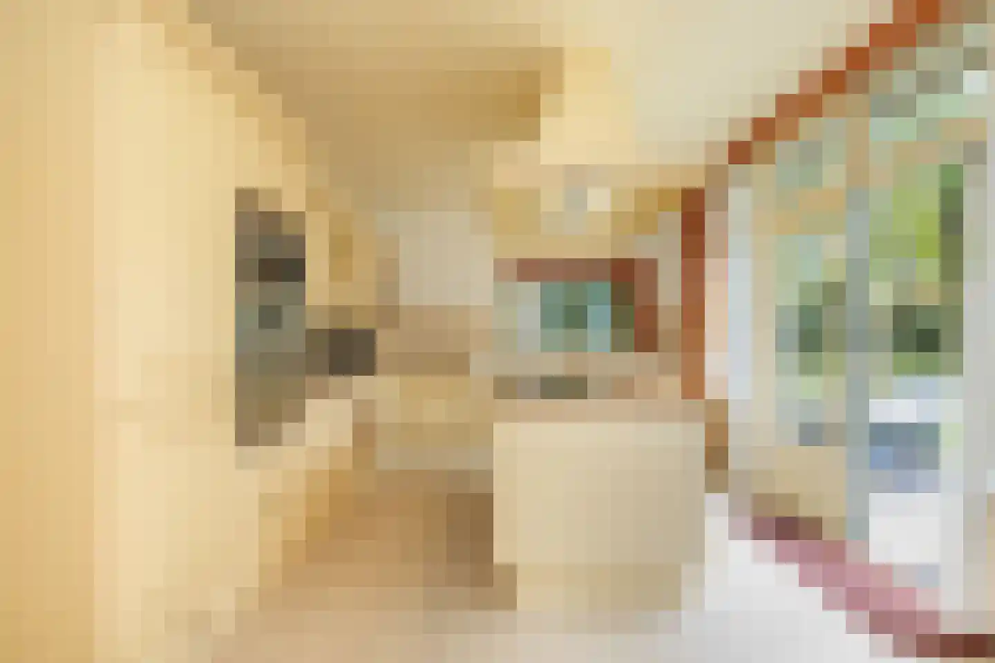 Julianalaan 5 Vlissingen thumbnail 19