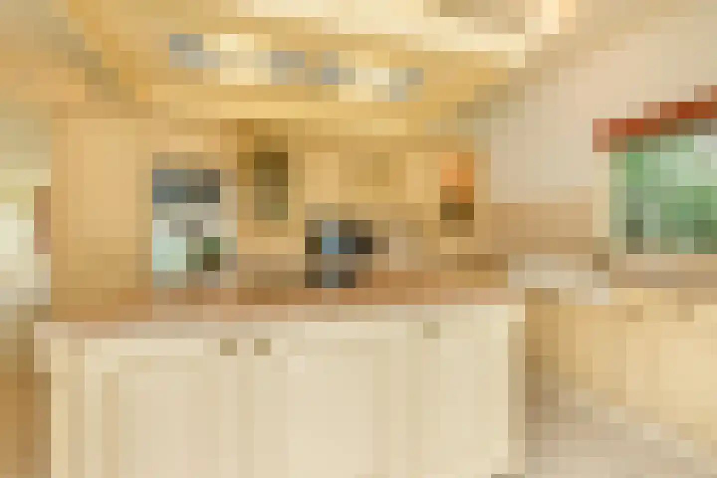 Julianalaan 5 Vlissingen thumbnail 21