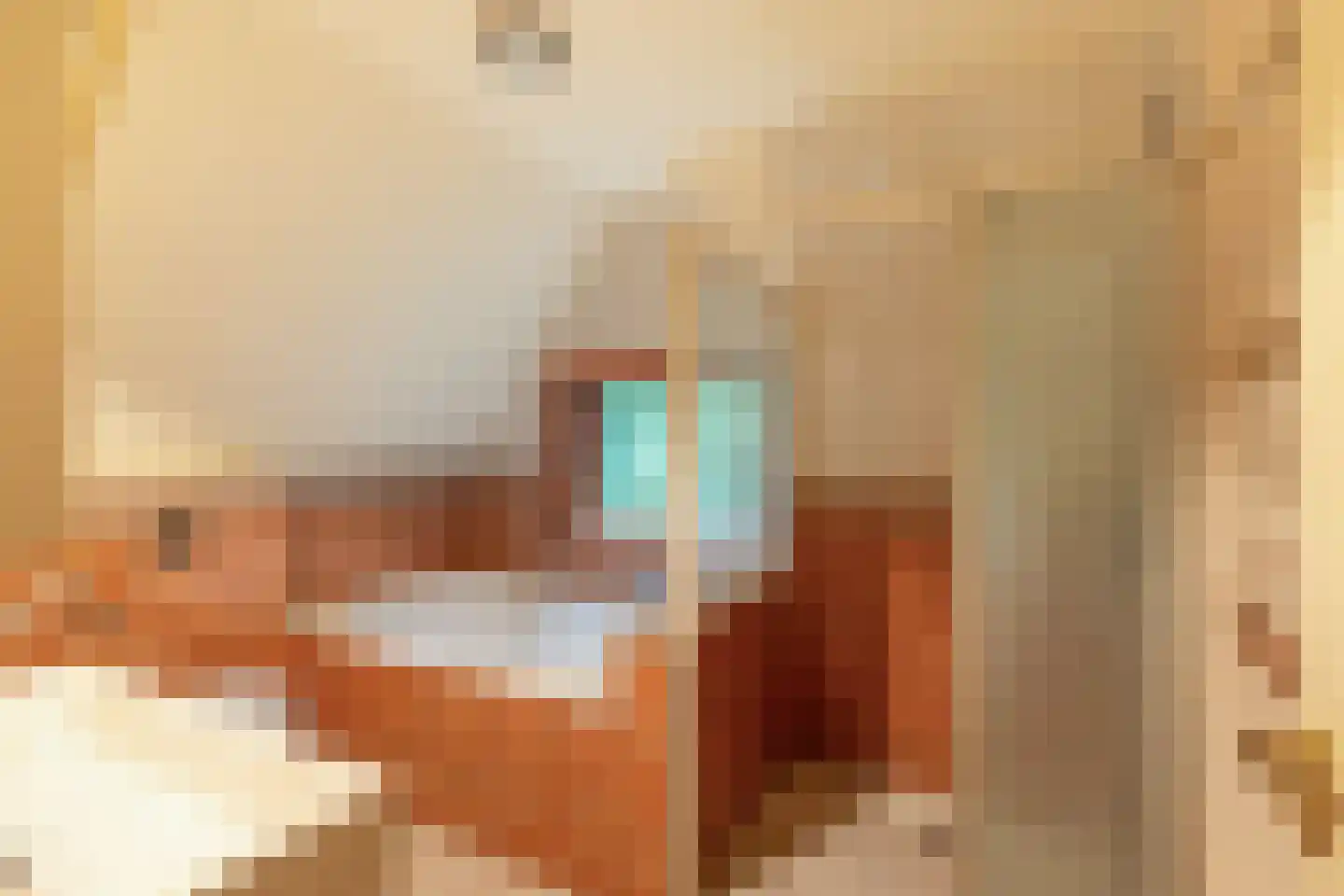 Julianalaan 5 Vlissingen thumbnail 33