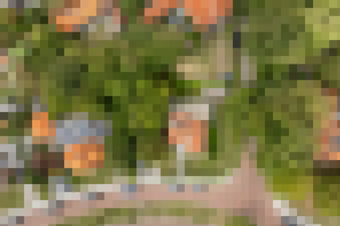 Julianalaan 5 Vlissingen thumbnail 47