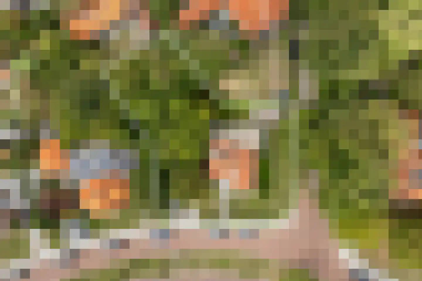 Julianalaan 5 Vlissingen thumbnail 5
