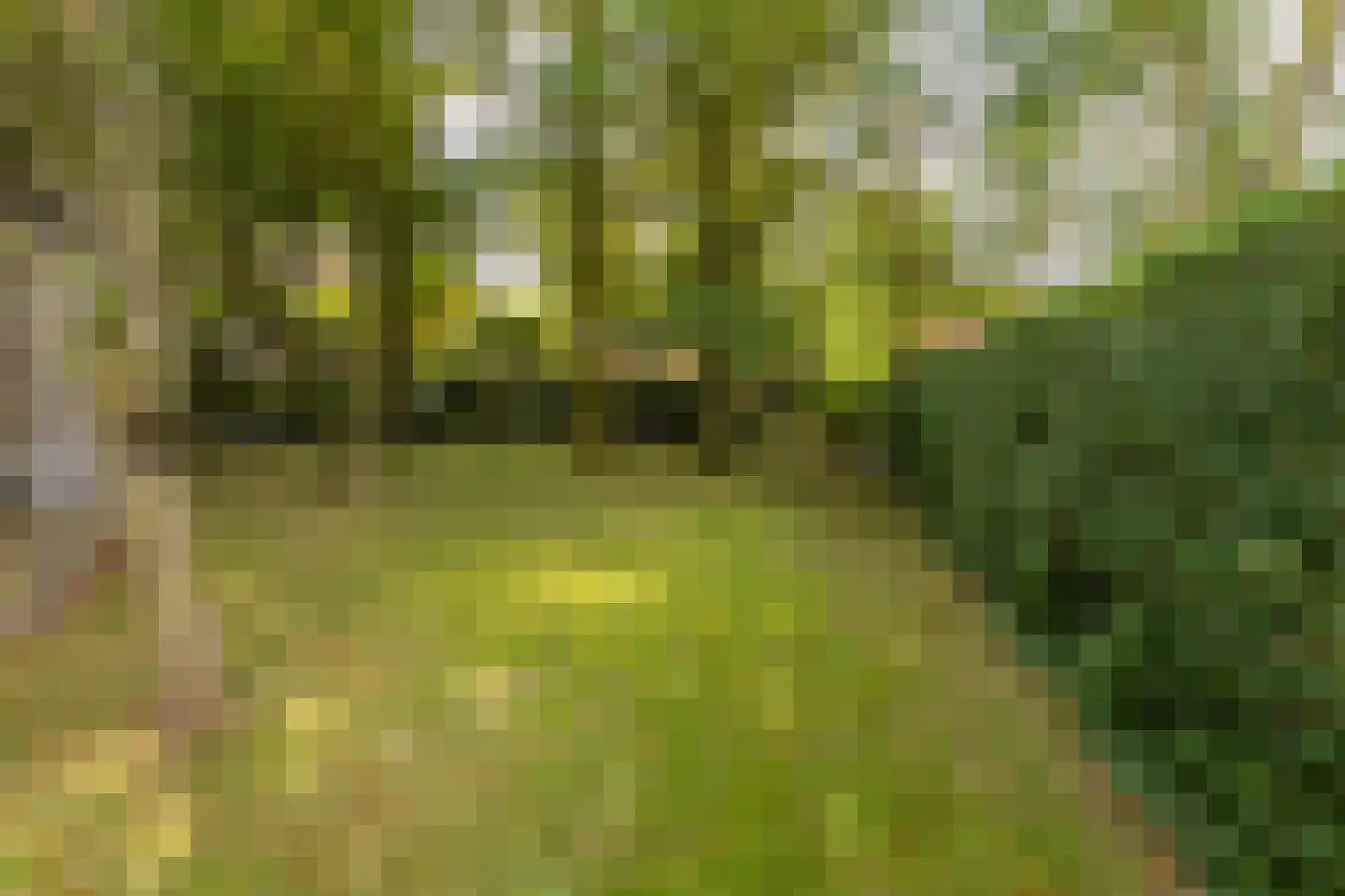 Julianalaan 5 Vlissingen thumbnail 8