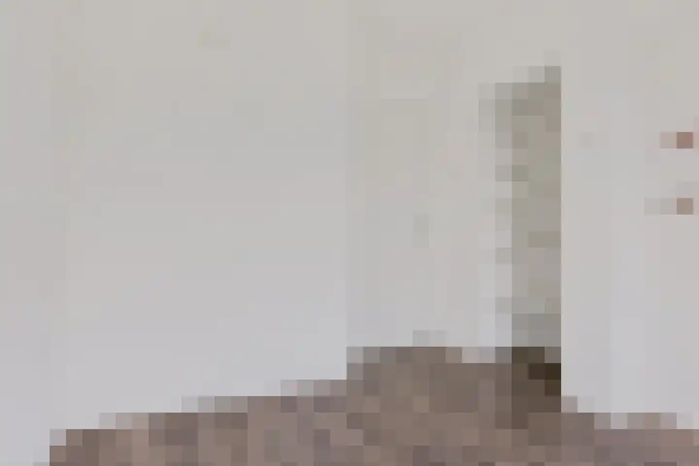 Julianalaan 50 Oss thumbnail 17