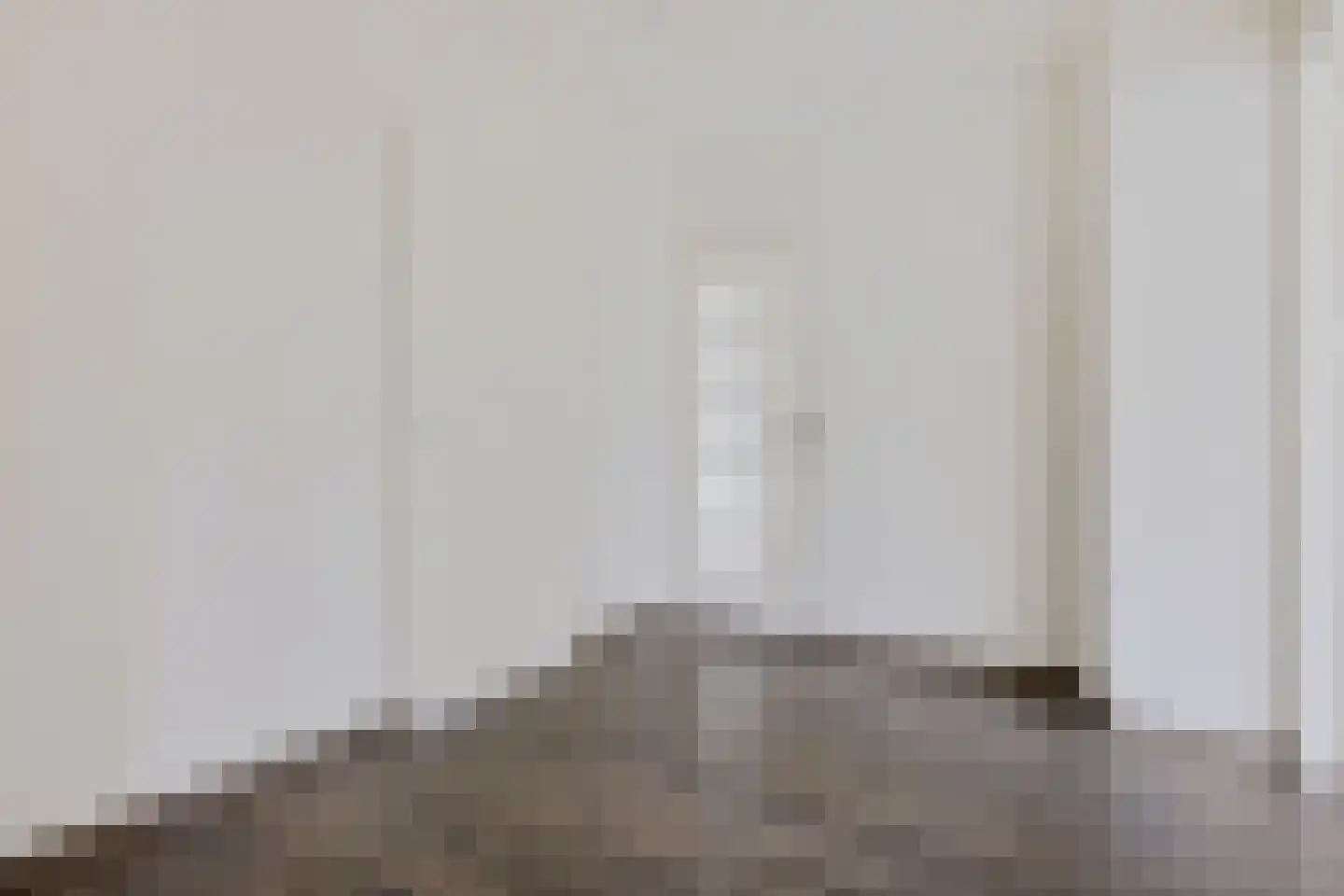 Julianalaan 50 Oss thumbnail 27