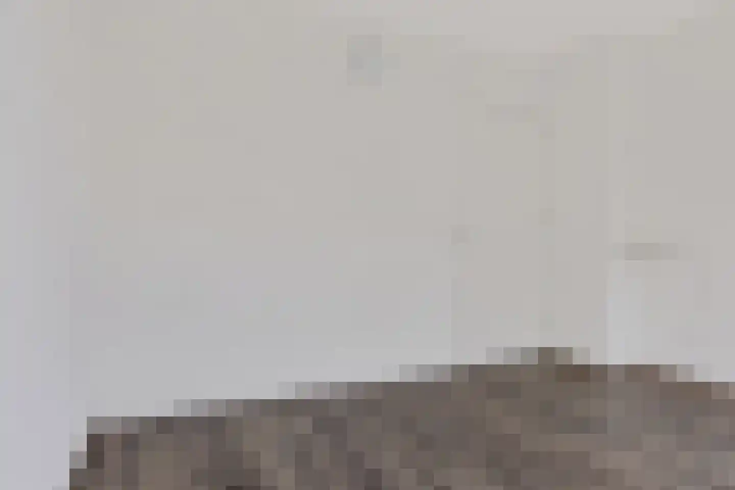 Julianalaan 50 Oss thumbnail 29