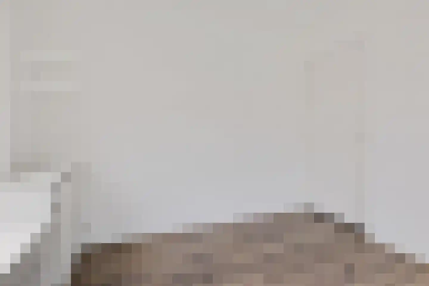 Julianalaan 50 Oss thumbnail 31