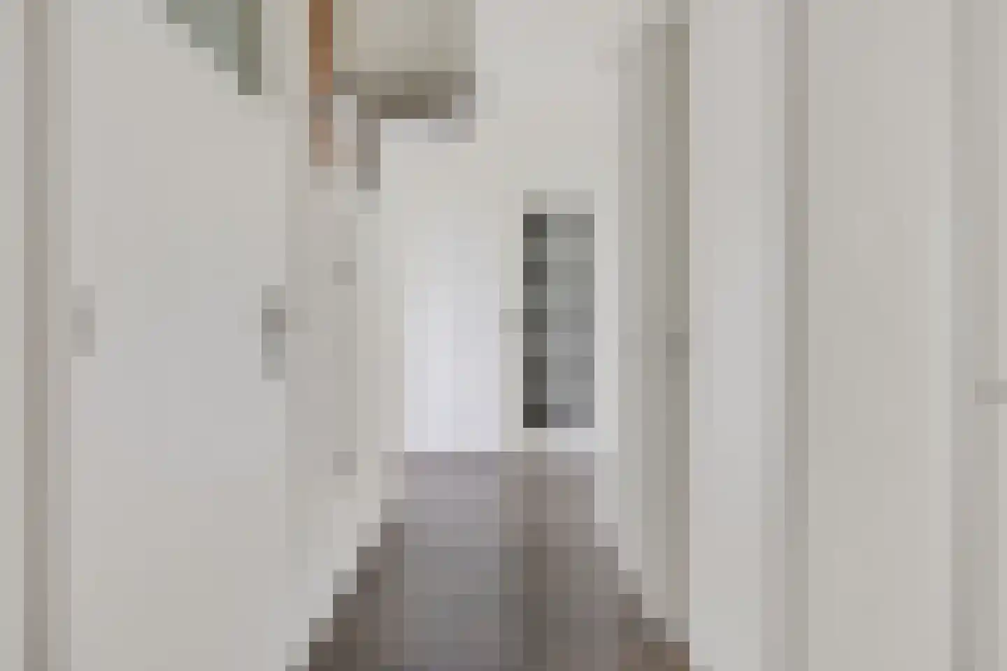 Julianalaan 50 Oss thumbnail 9