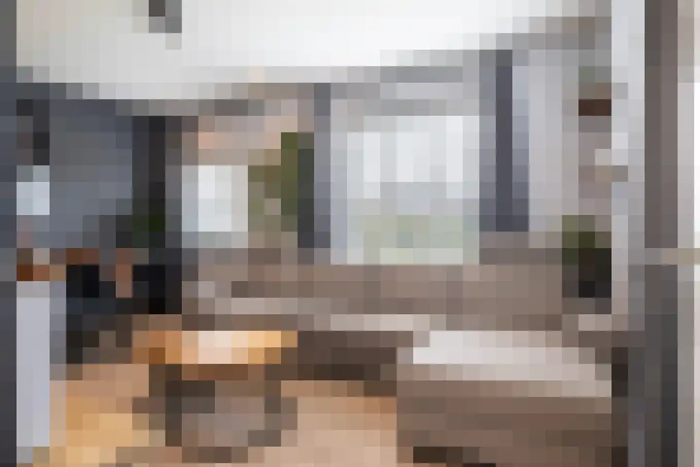Julianalaan 50 Schoonebeek thumbnail 13